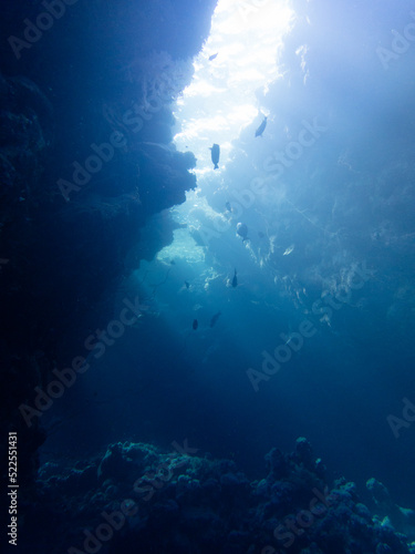 Scuba Diving in the Red Sea in Egypt © Niklas