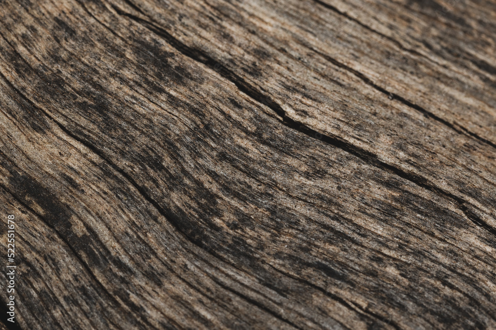 Fototapeta premium old wood texture