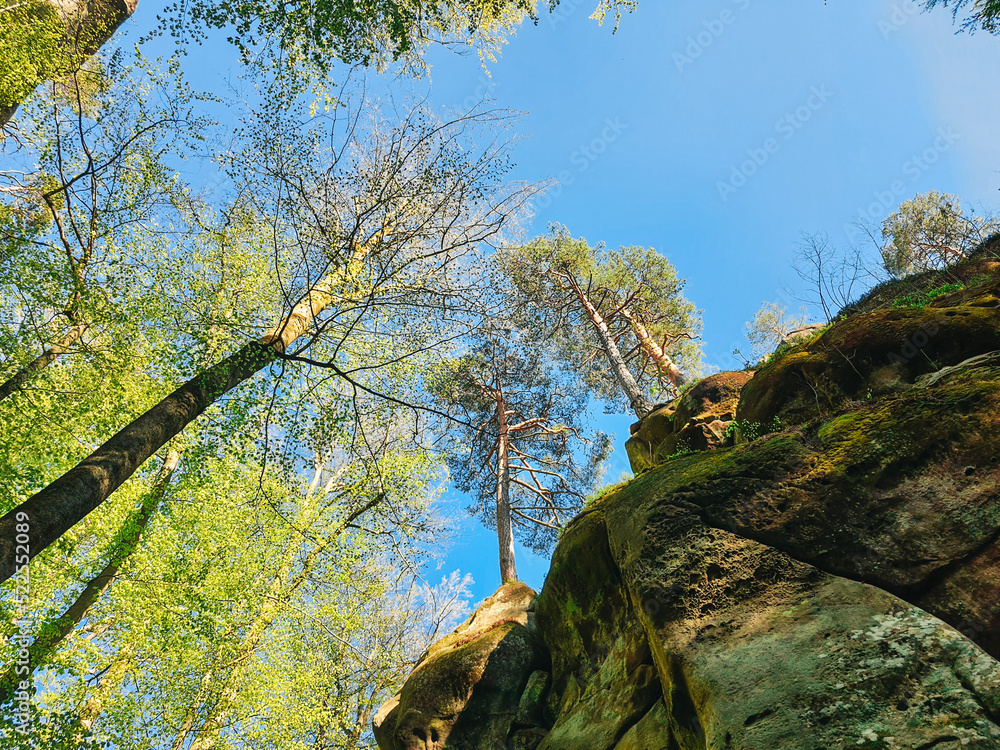 dovbush rocks Ukraine spring forest dovbush rocks Ukraine spring forest