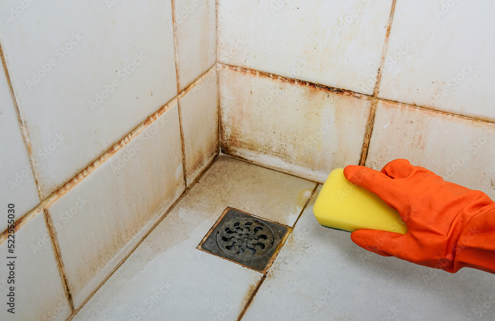 Clean old dirty bathroom floors and walls, bathroom cleaning tools to try  and remove dirt, mold and corrosion from white bathroom tiles. sponge.  Stock Photo