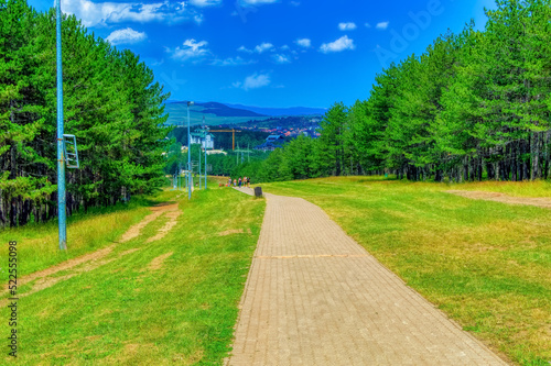 Wallpaper Mural Visitors at Health walking trail in Zlatibor, Serbia. Torontodigital.ca