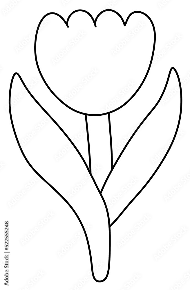 Tulip flowers line outline icon Tulip flowers line outline icon