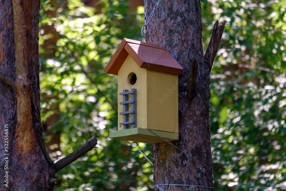 Birdhouse or bird box with natural green leaves background. Selective focus Birdhouse or bird box with natural green leaves background. Selective focus
