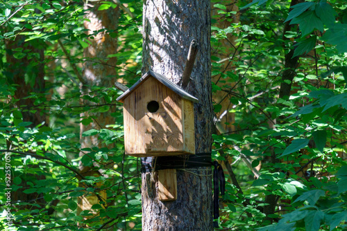 Wooden birdhouse is hanging from a tree with foliage blurred on the background. Selective focus