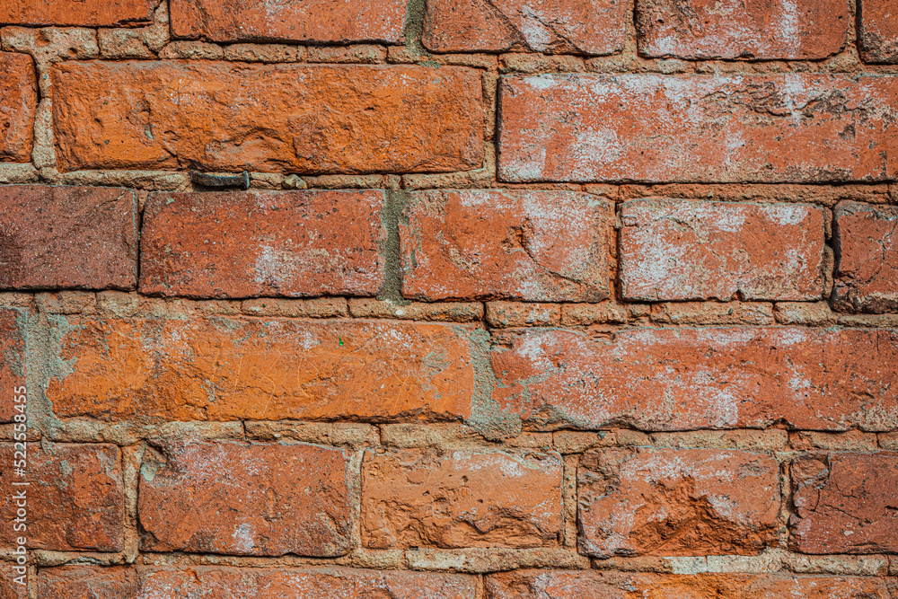 Obraz premium Architecture. Brick wall- abstract background