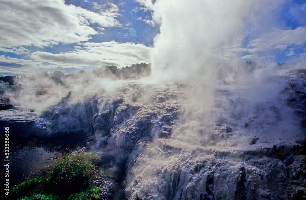 Fototapeta premium Pohutu Geyser