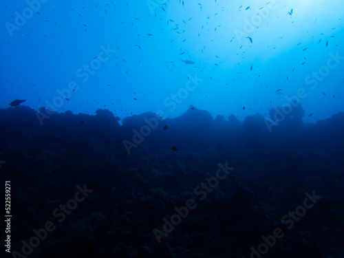 Scuba Diving in the Red Sea © Niklas