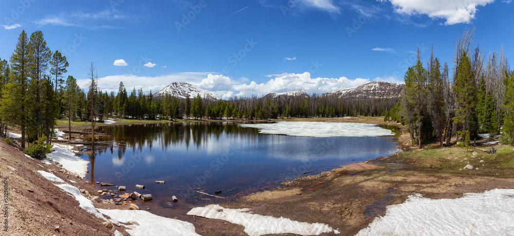 Lake surrounded by Mountains and Trees in Amercian Landscape. Spring Season. Lilly Lake in Uinta-Wasatch-Cache National Forest, Utah. United States. Nature Background Panorama Lake surrounded by Mountains and Trees in Amercian Landscape. Spring Season. Lilly Lake in Uinta-Wasatch-Cache National Forest, Utah. United States. Nature Background Panorama