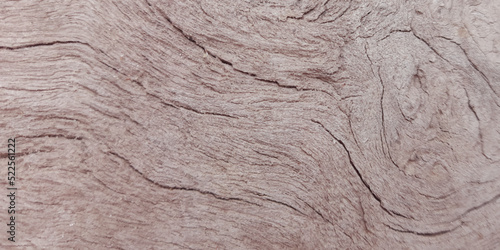 Realistic and smooth texture pattern of wood of a tree, fresh and cracked wood texture with space for your text, decorative wooden texture for making any kinds of furniture and home decor.
