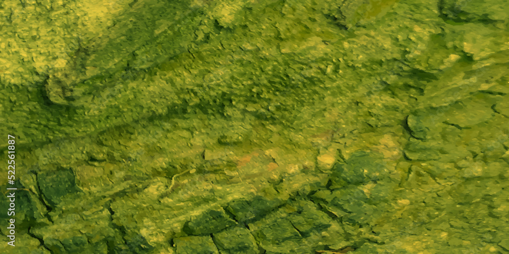 Green moss on the wall, pale painted shell of a tree, Green grunge texture with shell of a tree, green texture for wallpaper, cover, card, decoration and design. Green moss on the wall, pale painted shell of a tree, Green grunge texture with shell of a tree, green texture for wallpaper, cover, card, decoration and design.