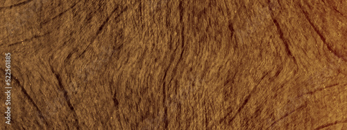 Realistic and smooth texture pattern of wood of a tree, fresh and cracked wood texture with space for your text, decorative wooden texture for making any kinds of furniture and home decor.
