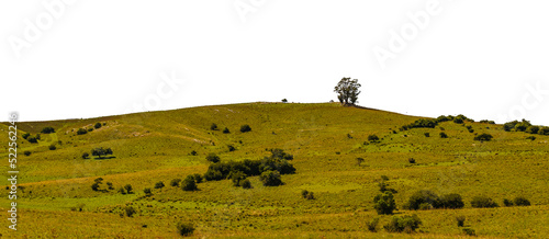 Panoramic isolated countryside landscape photo