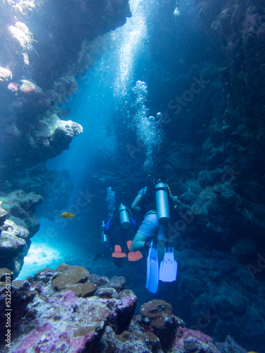 Wallpaper Mural Diving caves in egypt Torontodigital.ca