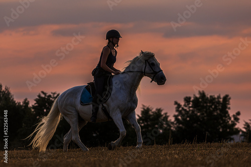 a beautiful young woman rides a white horse at sunset