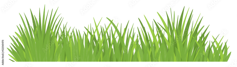 Fototapeta premium Green grass and plant element.