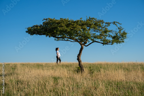 A pregnant woman with a tree.