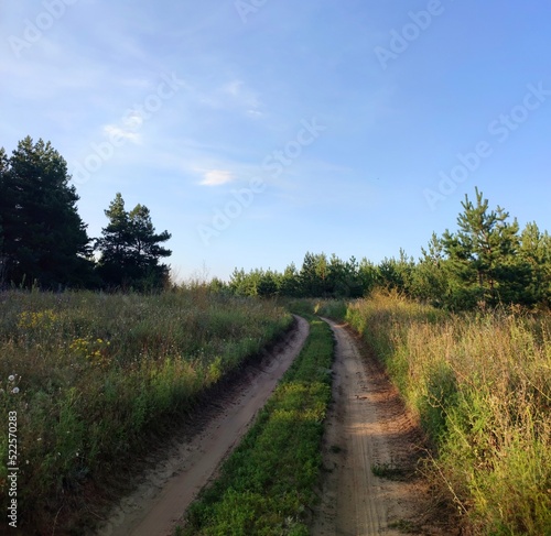 dirt road through the field
