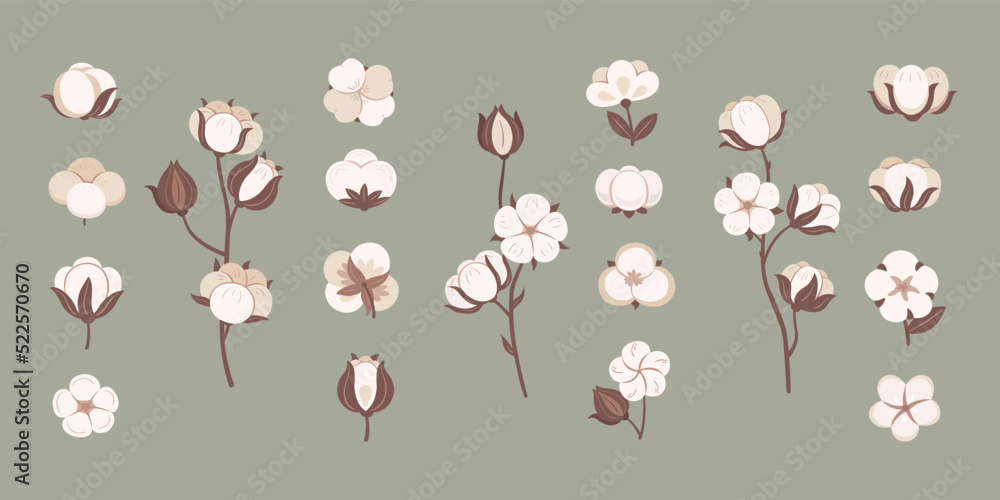 Natural cotton flowers. Plant bolls for soft fabric, organic textile symbol and cotton bloom vector set Natural cotton flowers. Plant bolls for soft fabric, organic textile symbol and cotton bloom vector set