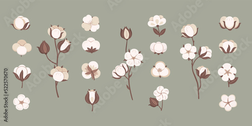 Natural cotton flowers. Plant bolls for soft fabric, organic textile symbol and cotton bloom vector set