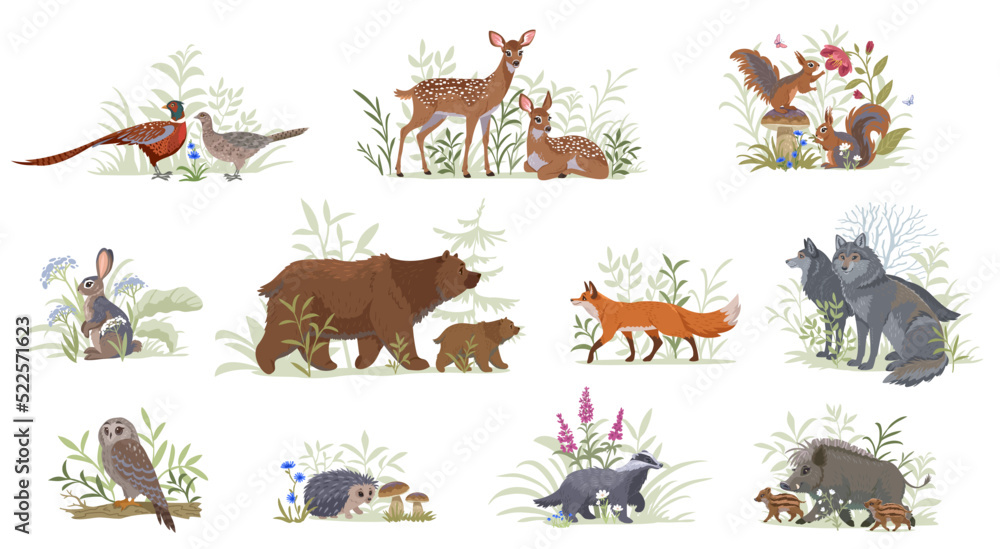 Fototapeta set forest animals