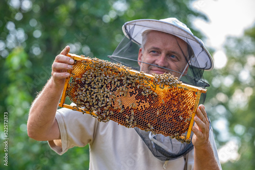 Beekeeper works in a hive - adds bees frame, watching bees