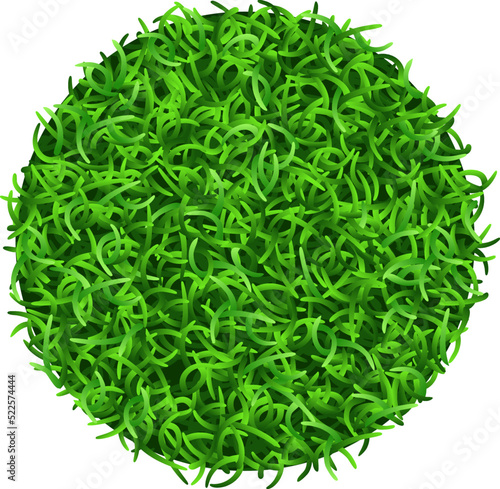 Grass circle. Realistic lawn round patch top view