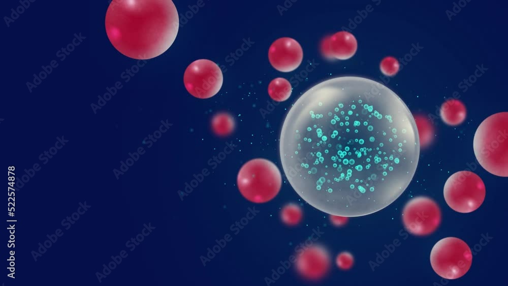 Red blood cells in blue. Egg ovule. Biological concept. Abstract shape background with copy space Red blood cells in blue. Egg ovule. Biological concept. Abstract shape background with copy space