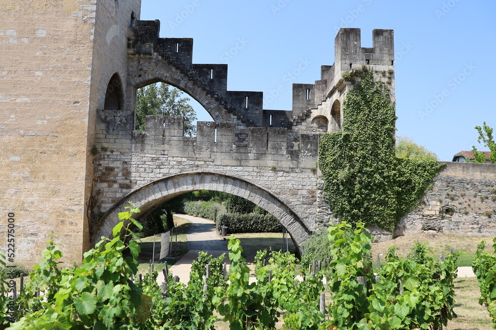 Obraz premium Le pont Valentre sur la rivière Lot, construit au 14eme siècle, ville de Cahors, département du Lot, France