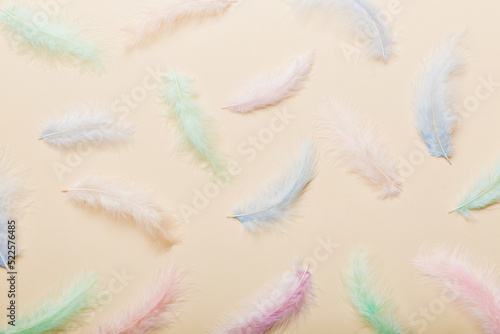 Close up to bright colorful feathers background. Colored feather background, top view © sosiukin