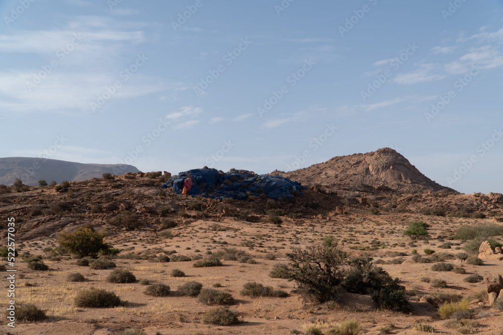 Painted rocks of Tafraoute, Morocco Painted rocks of Tafraoute, Morocco
