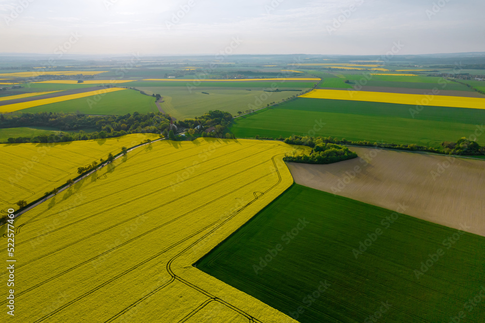 Top view of yellow rapeseed and wheat green fields, trees and highway. Panoramic view from a height of farm plantations.