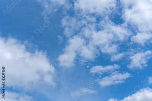 Blue sky background with white fluffy cumulus clouds. Panorama of white fluffy clouds in the blue sky. Beautiful vast blue sky with amazing scattered cumulus clouds.