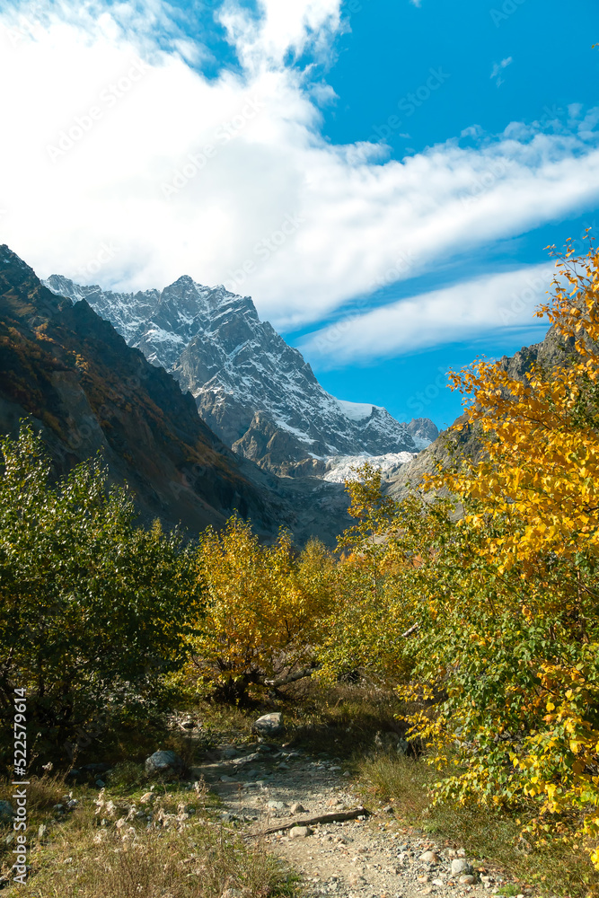 Beautiful atmospheric autumn mountain landscape on a sunny day, in the distance Chalaadi glacier, Svaneti, Mestia, Georgia. Vertical photo