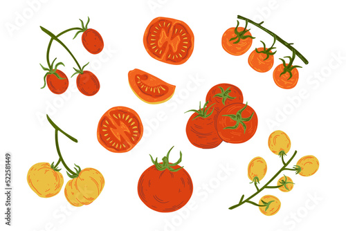 A set of fresh, juicy tomatoes. The set contains tomatoes and cherry tomatoes, whole and sliced. Healthy, natural food