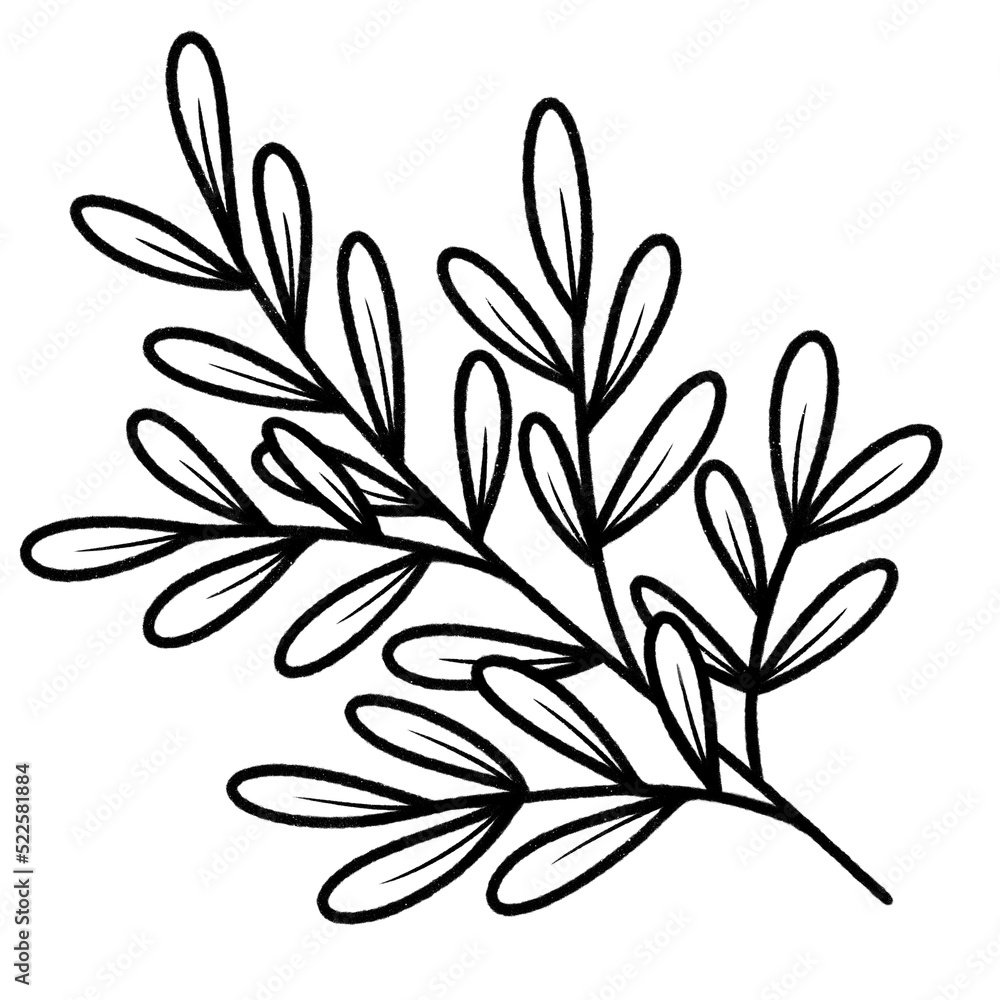 line art tropical leaves. line art tropical leaves.