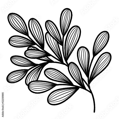 line art tropical leaves.