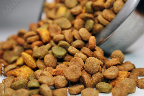 Dry food for cats, dogs, poured out of a bowl, on a light background. Close-up. Blurred background