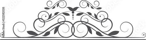 Elegant page decoration. Flourish vintage header ornament