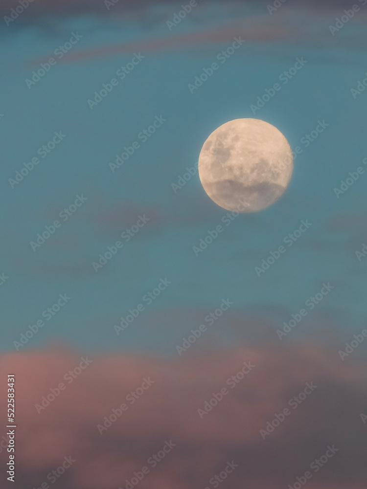 Moon at dusk on the rosy horizon