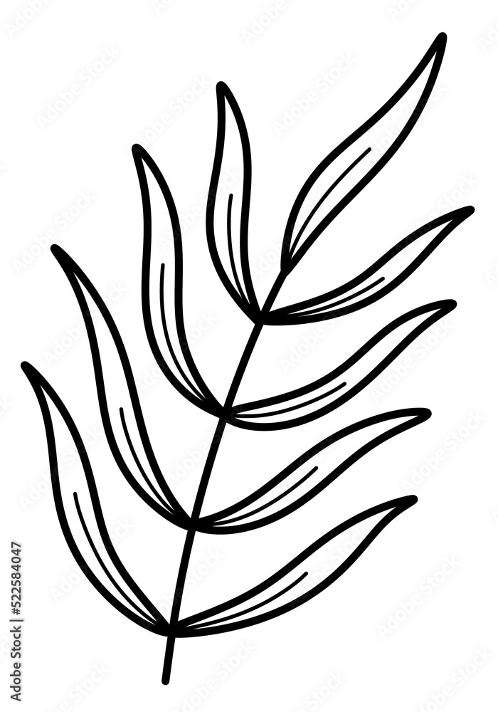 line art tropical leaves