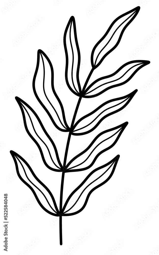 line art tropical leaves