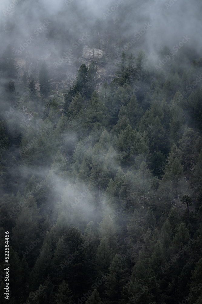 Clouds and fog over a forest in the Swiss mountains.