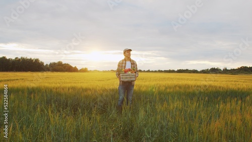 Farmer with a vegetable box in front of a sunset agricultural landscape. Man in a countryside field. Country life, food production, farming and country lifestyle.