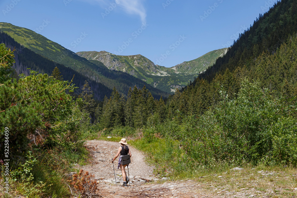 Hiker woman on mountain trail.  Rackova valley,  Tatras mountains.  Slovakia. Mountain tourism