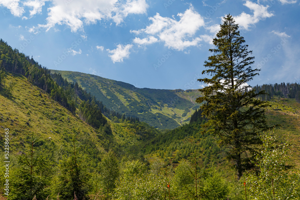 Beautiful alpine mountain landscape at summer. Rackova valley, Western Tatras mountains. Slovakia Beautiful alpine mountain landscape at summer. Rackova valley, Western Tatras mountains. Slovakia