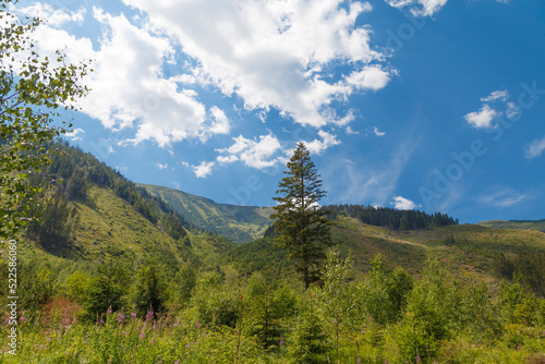 Beautiful alpine mountain landscape at summer. Rackova valley  Western Tatras mountains.  Slovakia