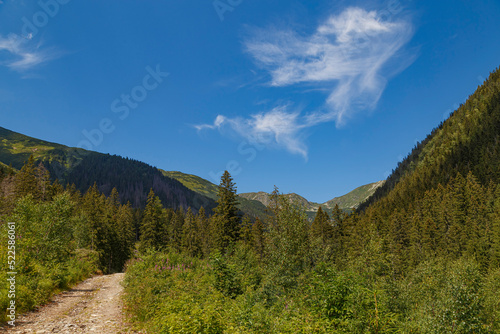 Beautiful alpine mountain landscape at summer. Rackova valley, Western Tatras mountains. Slovakia