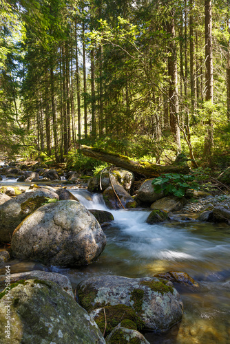 Fast mountain river in forest. Rackova valley, Western Tatras mountains.  Slovakia