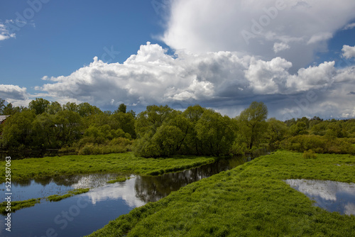Fototapeta Naklejka Na Ścianę i Meble -  Bright sunny day. Landscape with river and green grass and trees. Juicy greenery after the rain.