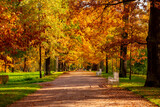 Oak alley in Catherine park in autumn, Tsarskoe Selo (Pushkin), St. Petersburg, Russia